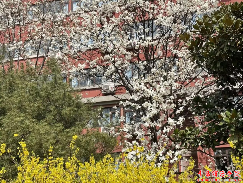 CGPAY钱包